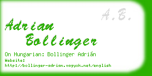 adrian bollinger business card